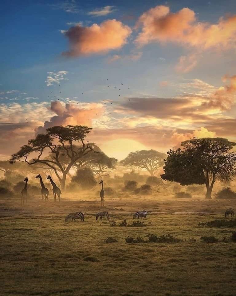 magicalafrica